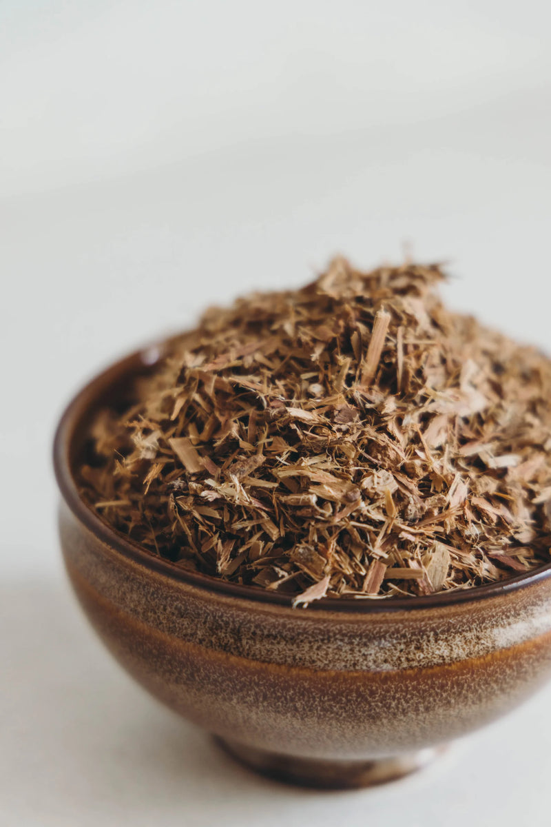 Best Herbs for Fall