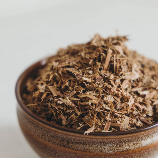Best Herbs for Fall