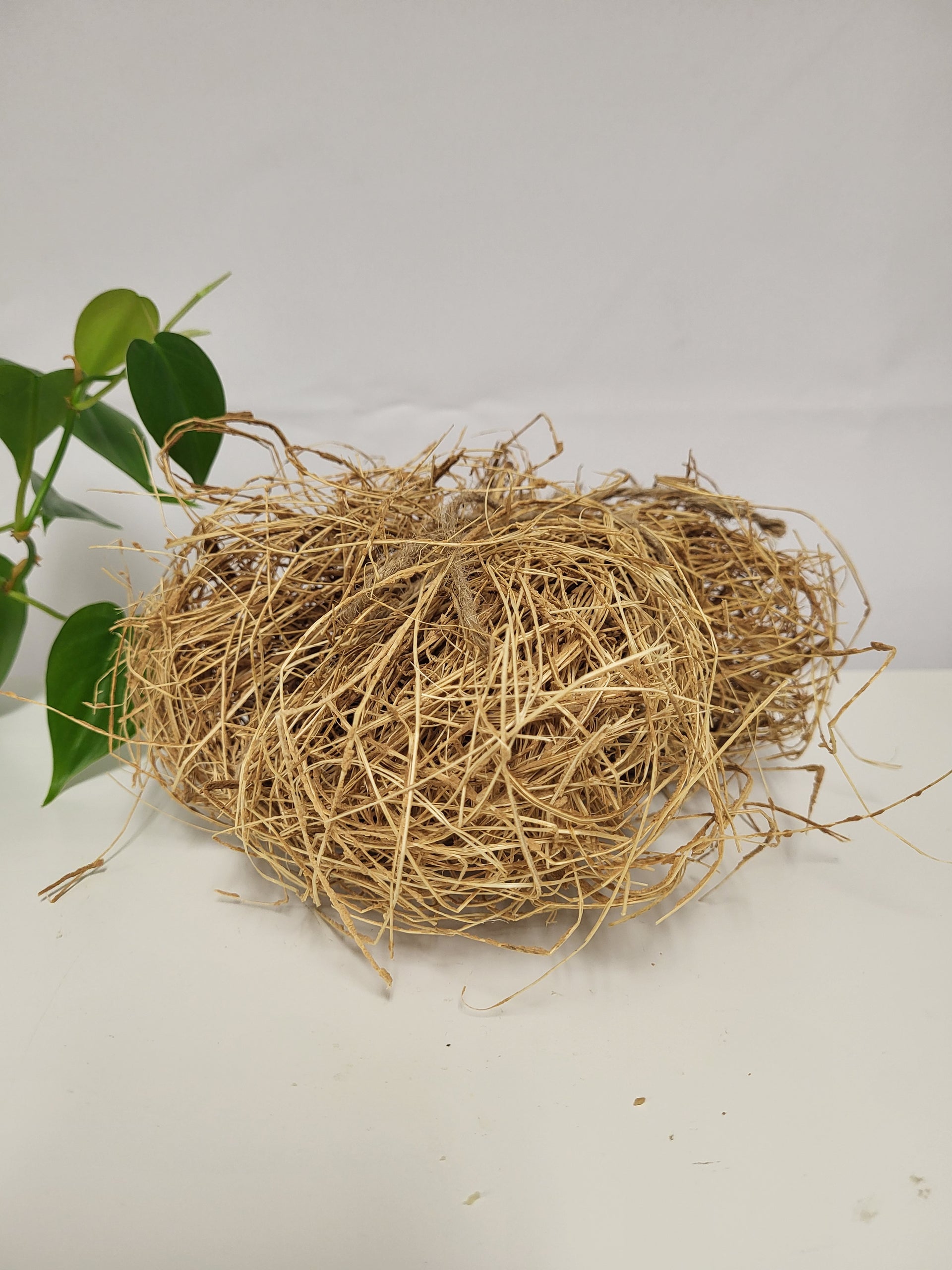 West African Skin Loofah