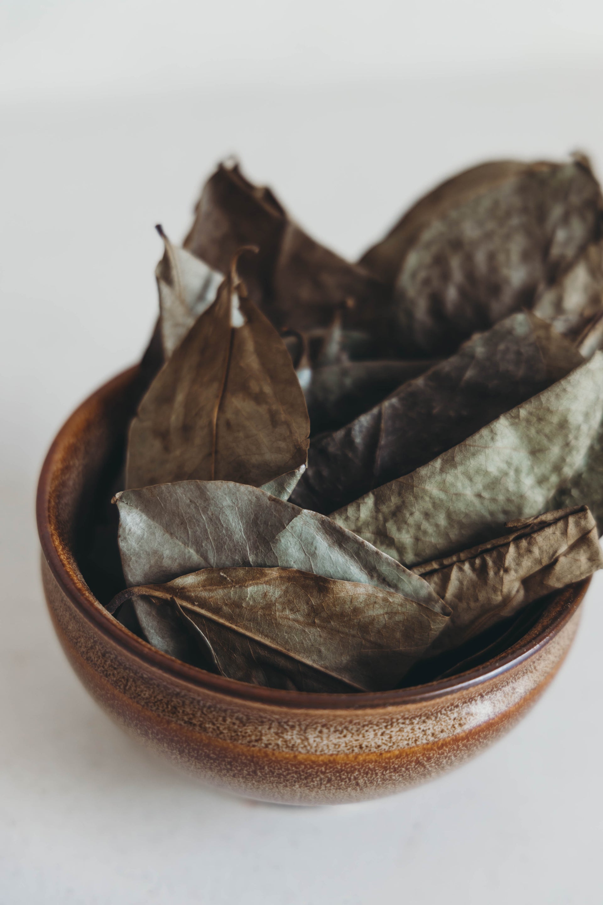 Soursop Leaf